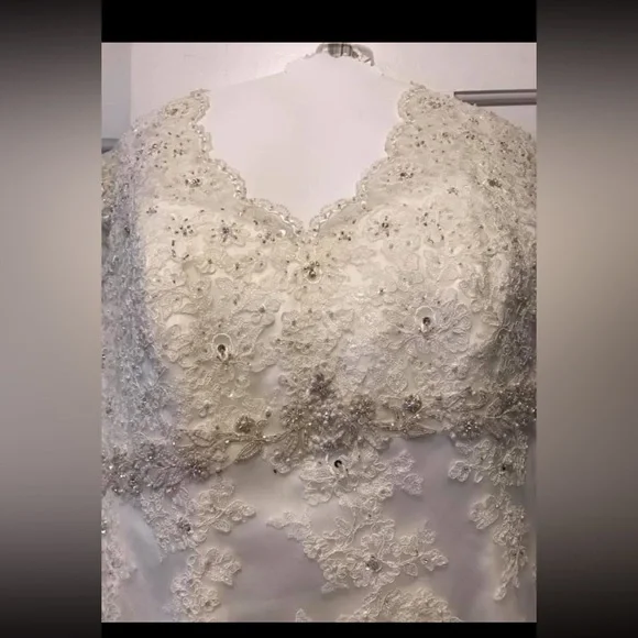 David's Bridal Elegant Lace Wedding Dress in White